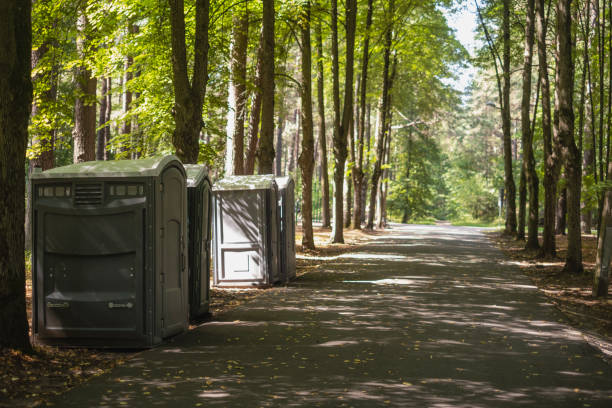 Portable Toilet Options We Offer in Catahoula, LA